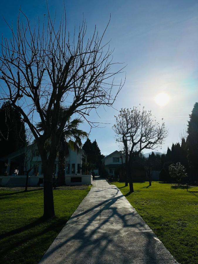 Voda سبانجا المظهر الخارجي الصورة